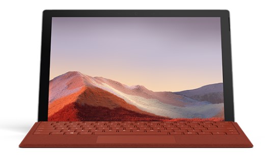 丹东清洁和维护 Surface
